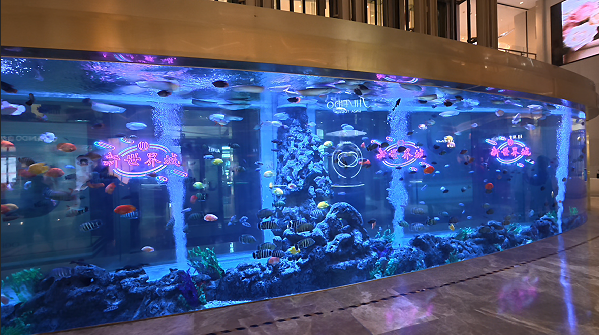 上海大型亚克力鱼缸,上海亚克力大型鱼缸,亚克力海水鱼缸,大型海水鱼缸,商场大型鱼缸,大型亚克力鱼缸,大型亚克力鱼缸工程,大型鱼缸工程,亚克力鱼缸工程,亚克力鱼缸定制,商场鱼缸定做,水族工程建设,大型景观鱼缸,大型水族箱定做,亚克力鱼缸制作厂家,亚克力鱼缸 亚克力水族箱