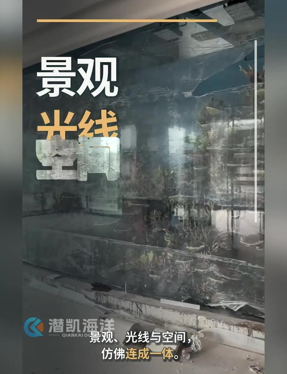 亚克力鱼缸