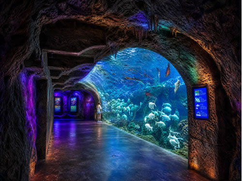 大型海洋馆水族馆设计策划施工